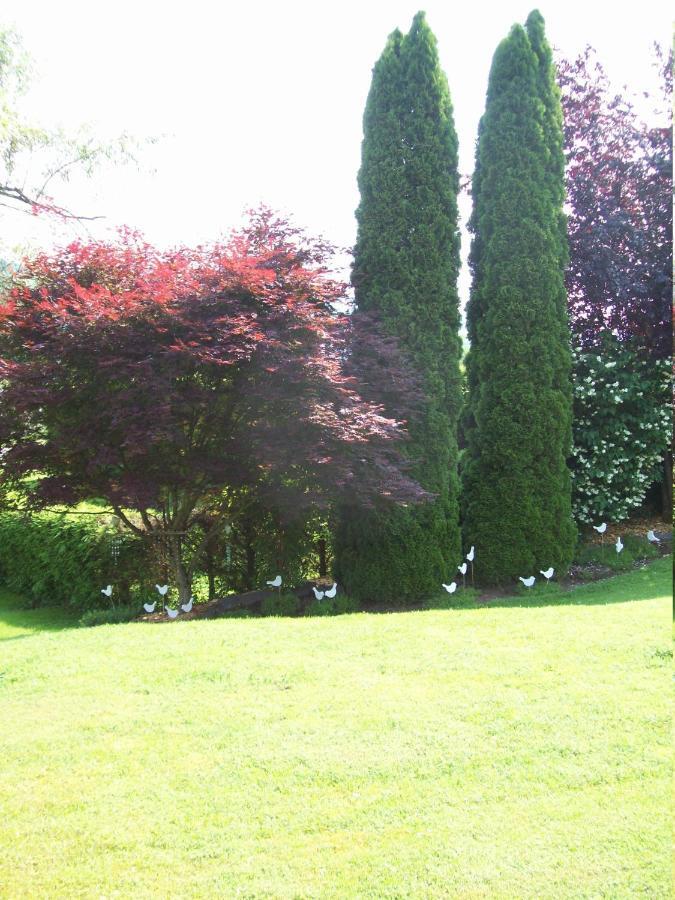 Gite De Grettery Saulxures-sur-Moselotte Exterior photo
